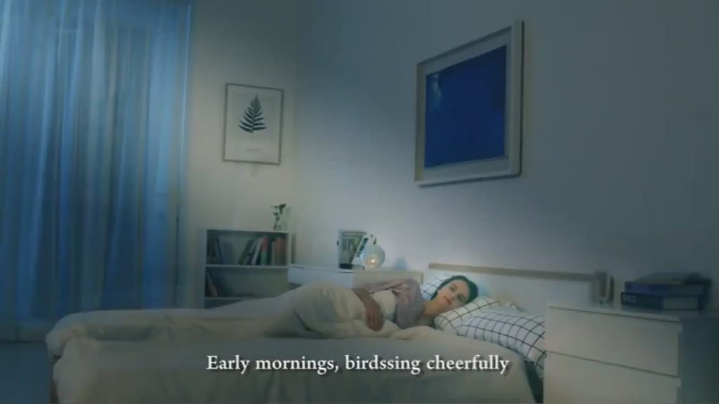 Vidéo réveil lever de soleil